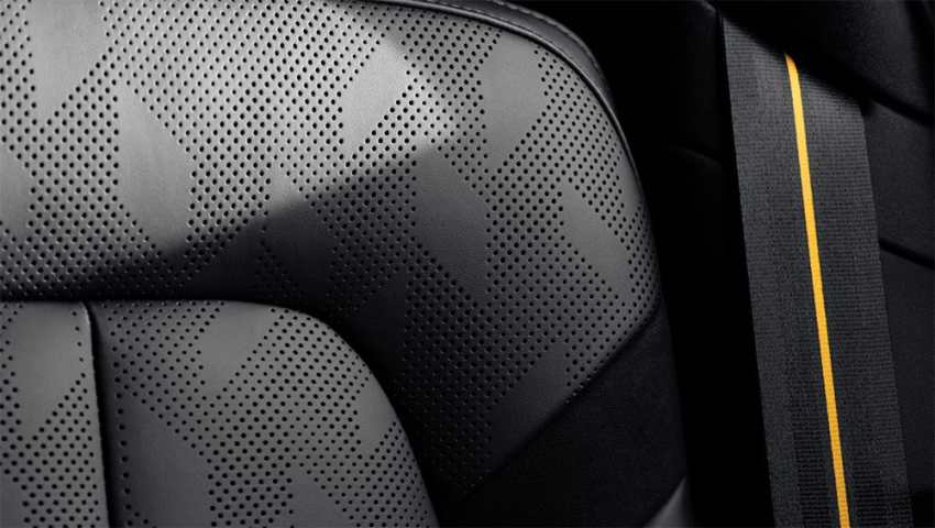 Cuir Nappa Polestar 2 Charbon.