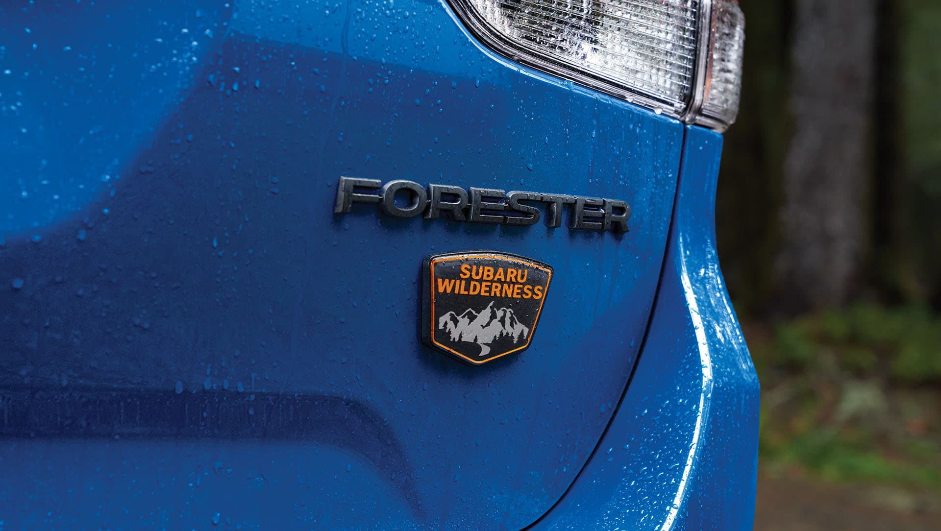 Un SUV familial hybride durci dévoilé ? La nouvelle Subaru Forester Wilderness 2026 est divulguée en ligne avant la sortie en Australie des Toyota RAV4, Mazda CX-5, Mitsubishi Outlander et Nissan X-Trail rival - Actualité automobile