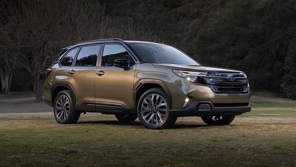 Attention à Toyota Rav4, Mitsubishi Outlander et Mazda CX-5! 2025 Subaru Forester Hybrid révélé aux États-Unis avec plus de grognement, une meilleure efficacité énergétique avant le lancement australien - CAR NOUVELLES