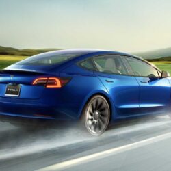 Le FSD Lite de Tesla peine à voir les arbres et les troncs