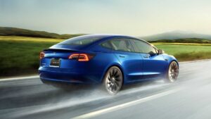 Le FSD Lite de Tesla peine à voir les arbres et les troncs