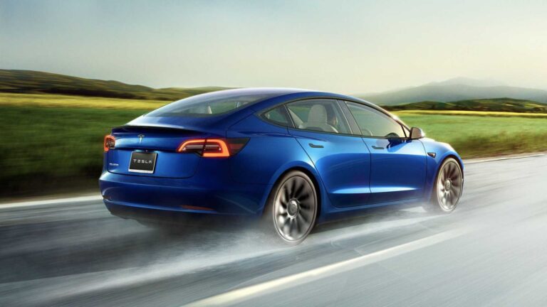 Le FSD Lite de Tesla peine à voir les arbres et les troncs